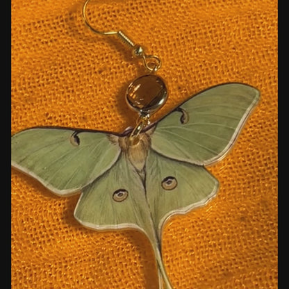 Luna Moth Earrings – Green Acrylic Butterfly Dangle Earrings with Gold Accents